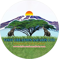 Visit Creation Safaris Ltd