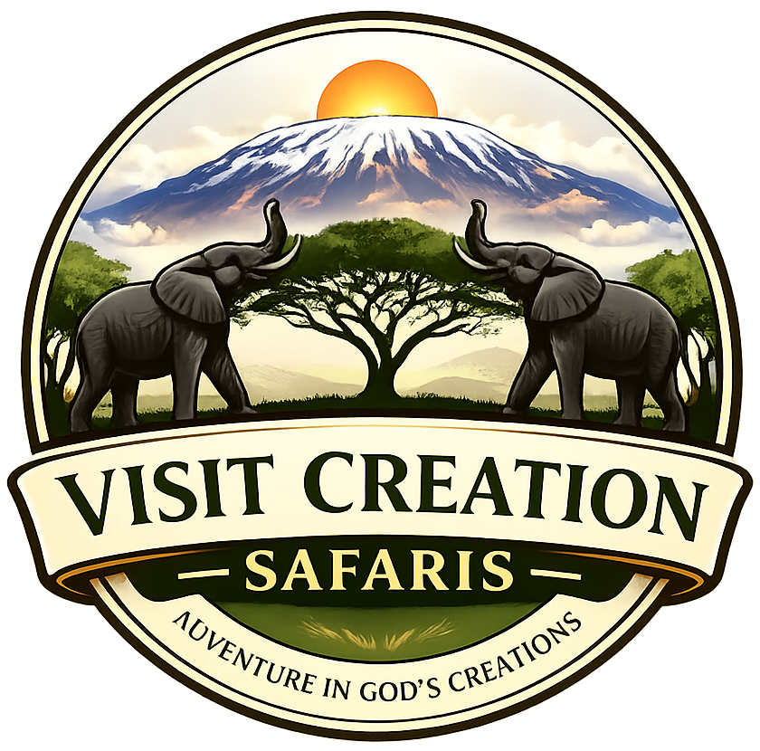 visitcreationsafaris